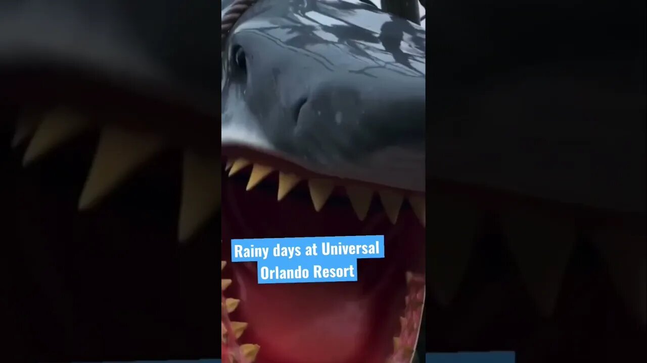 Grab your poncho and water shoes. 😎🌧️ #shorts #universal #hogwarts
