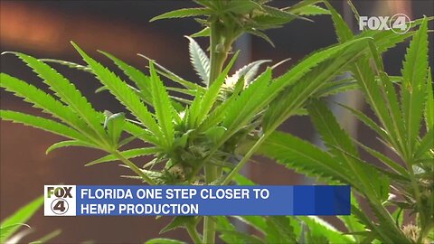 New laws go into effect in Florida July 1st