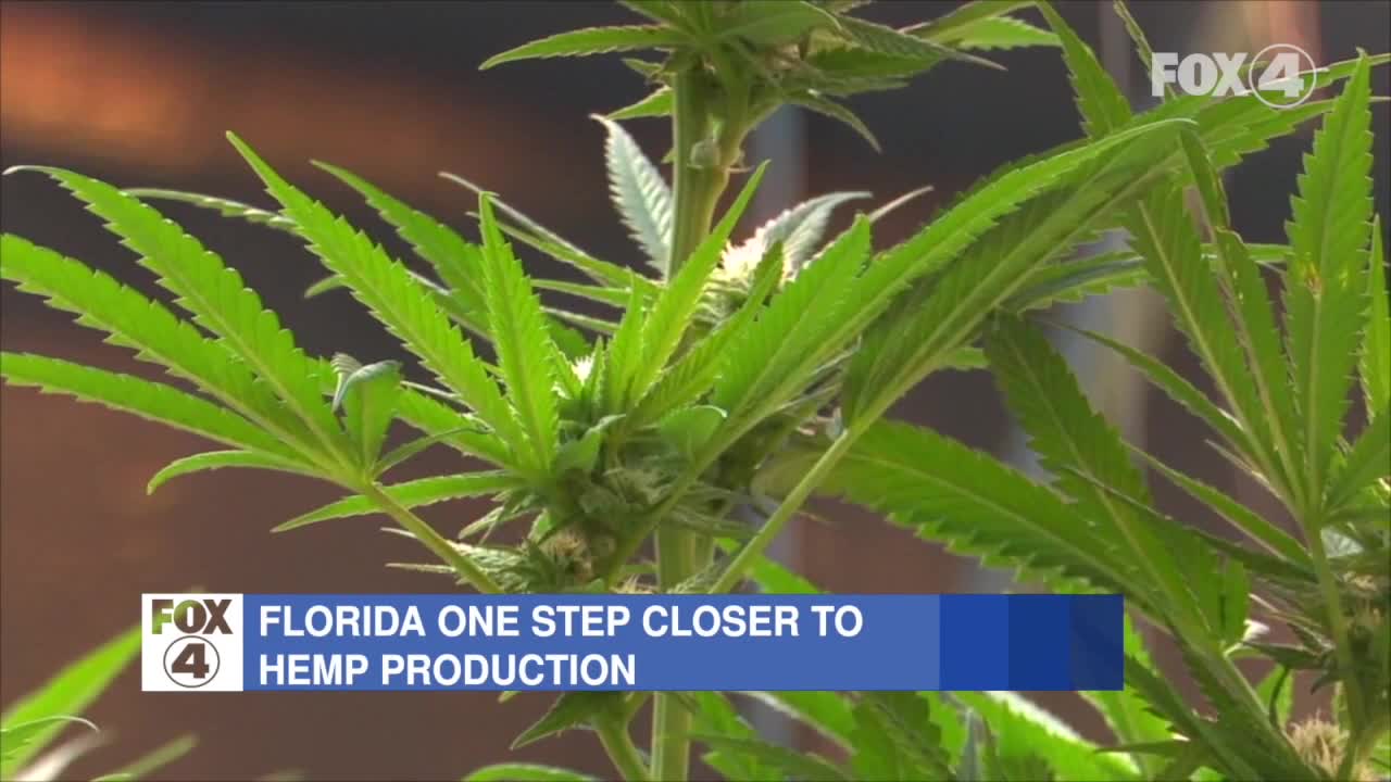 New laws go into effect in Florida July 1st