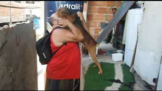 Il dolce abbraccio di un cane al suo padrone