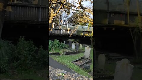 Graveyard under Grafton Bridge