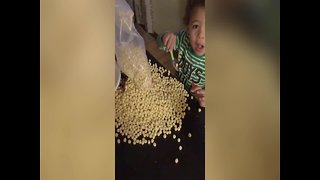 This Kid is Serious about Cereal