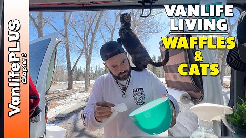 Van Life is Everywhere - They had GREAT Ideas! 💡