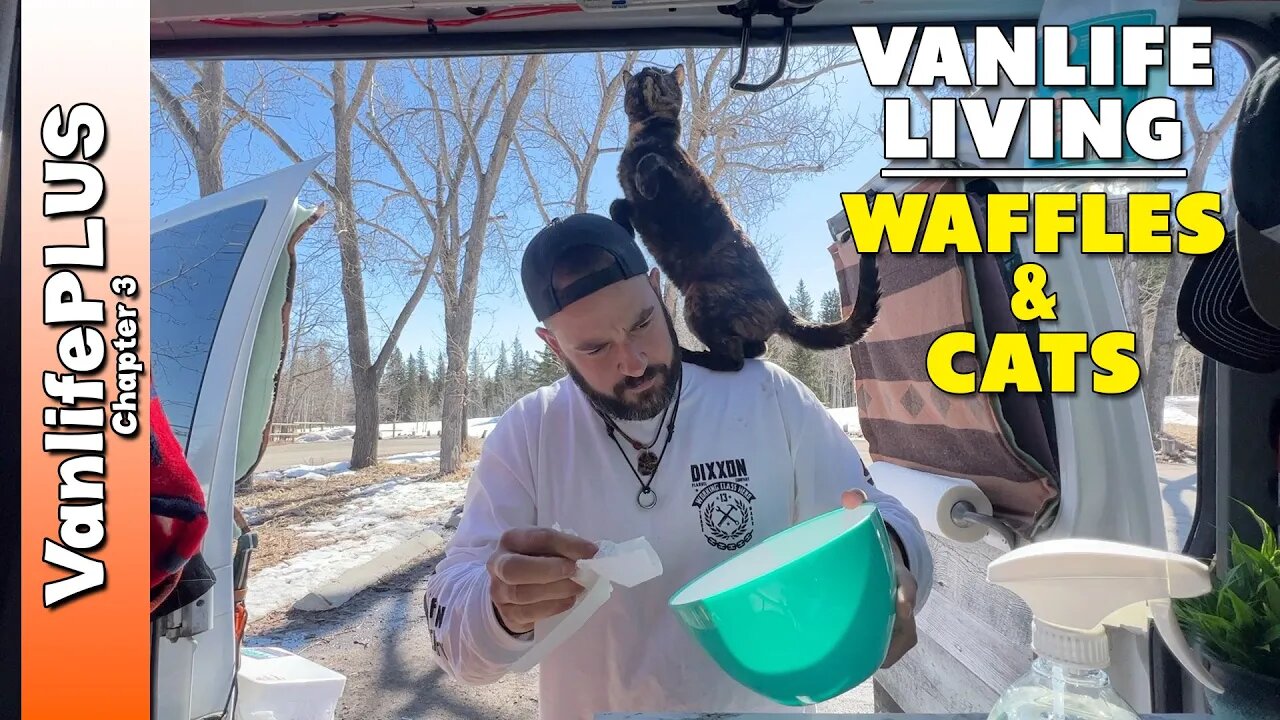 Van Life is Everywhere - They had GREAT Ideas! 💡