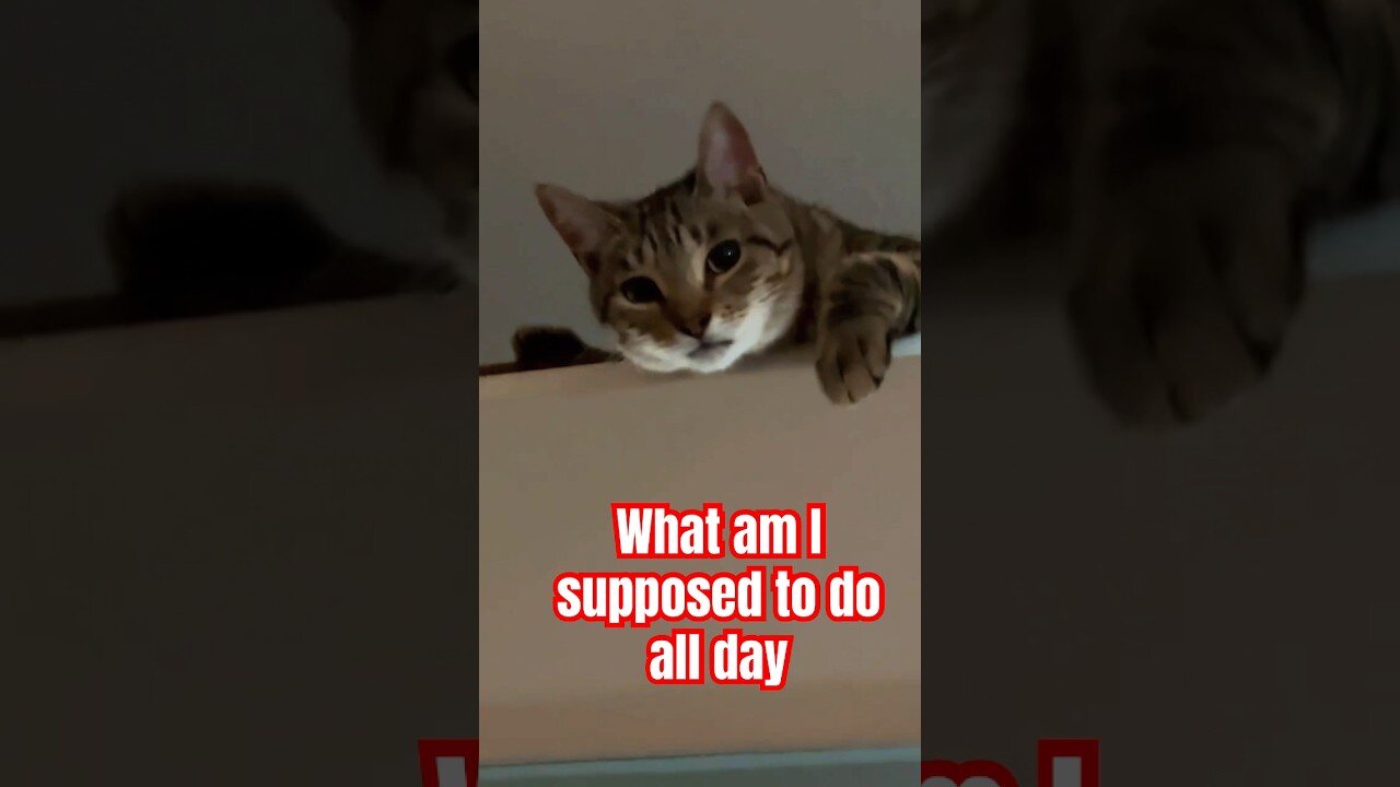 RALPHIE wants YOU to DUET this.