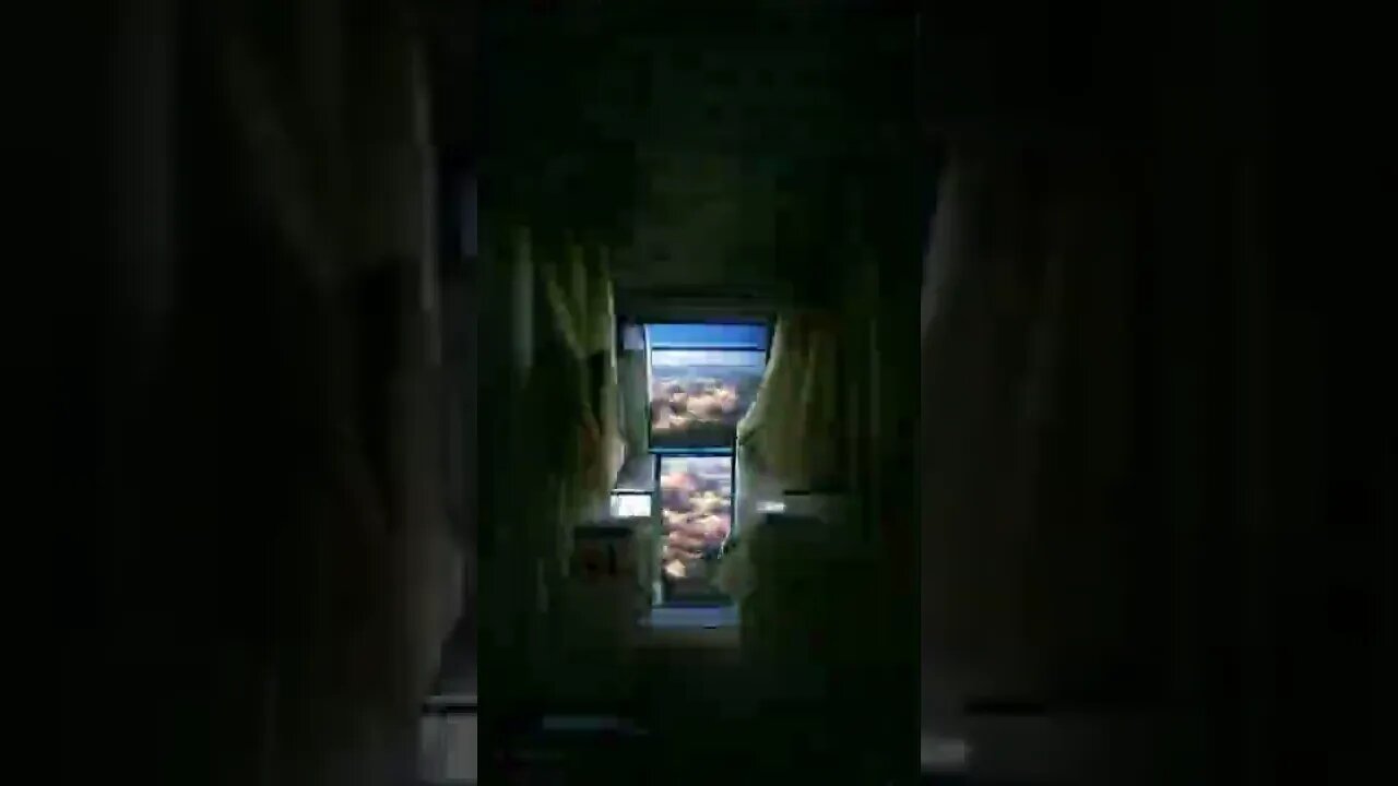 the view out the window #art #anime #painting #thephoto animation #d #digitalart #Shorts
