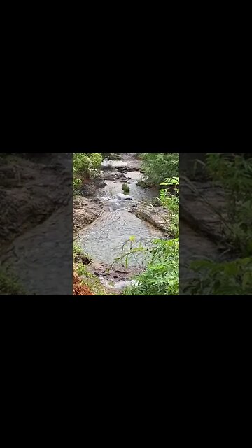A beautiful stream