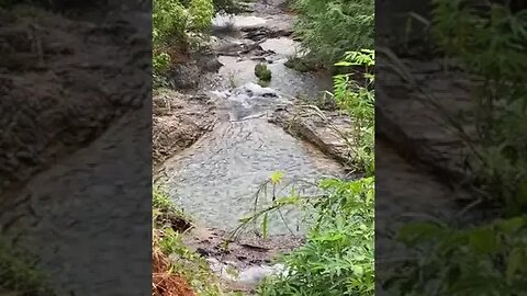 A beautiful stream