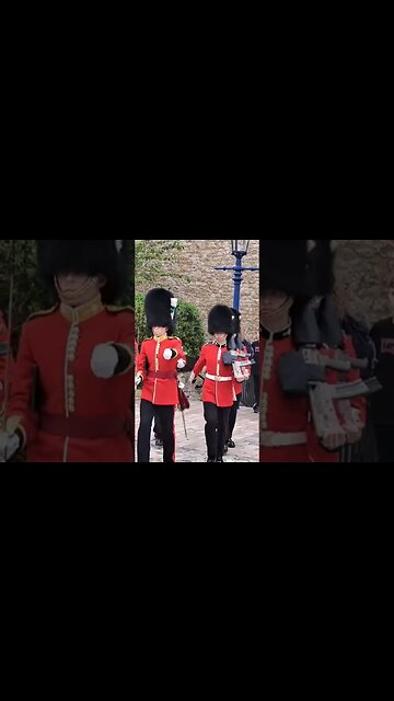 Tower of london Welsh guards #horseguardsparade