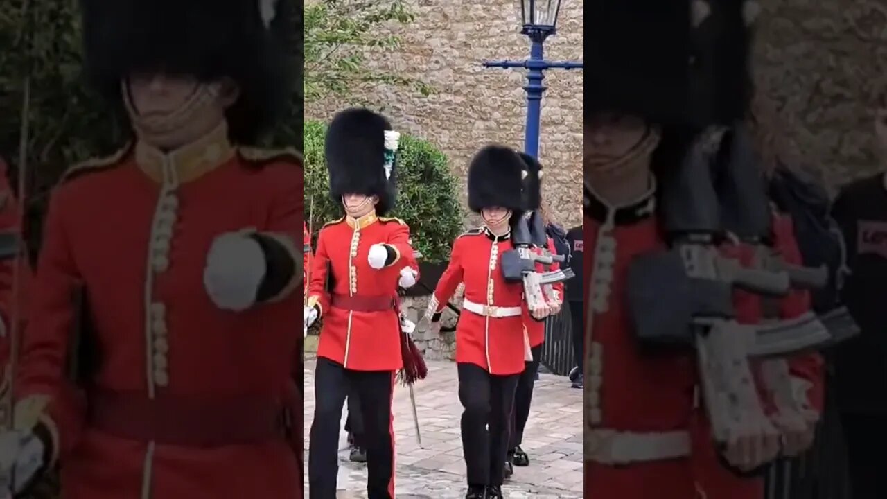 Tower of london Welsh guards #horseguardsparade