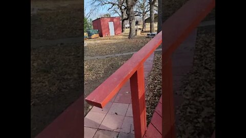 Progress Update 12/28/21