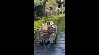 A Pocahontas and Meeko surprise on the river at Animal Kindom