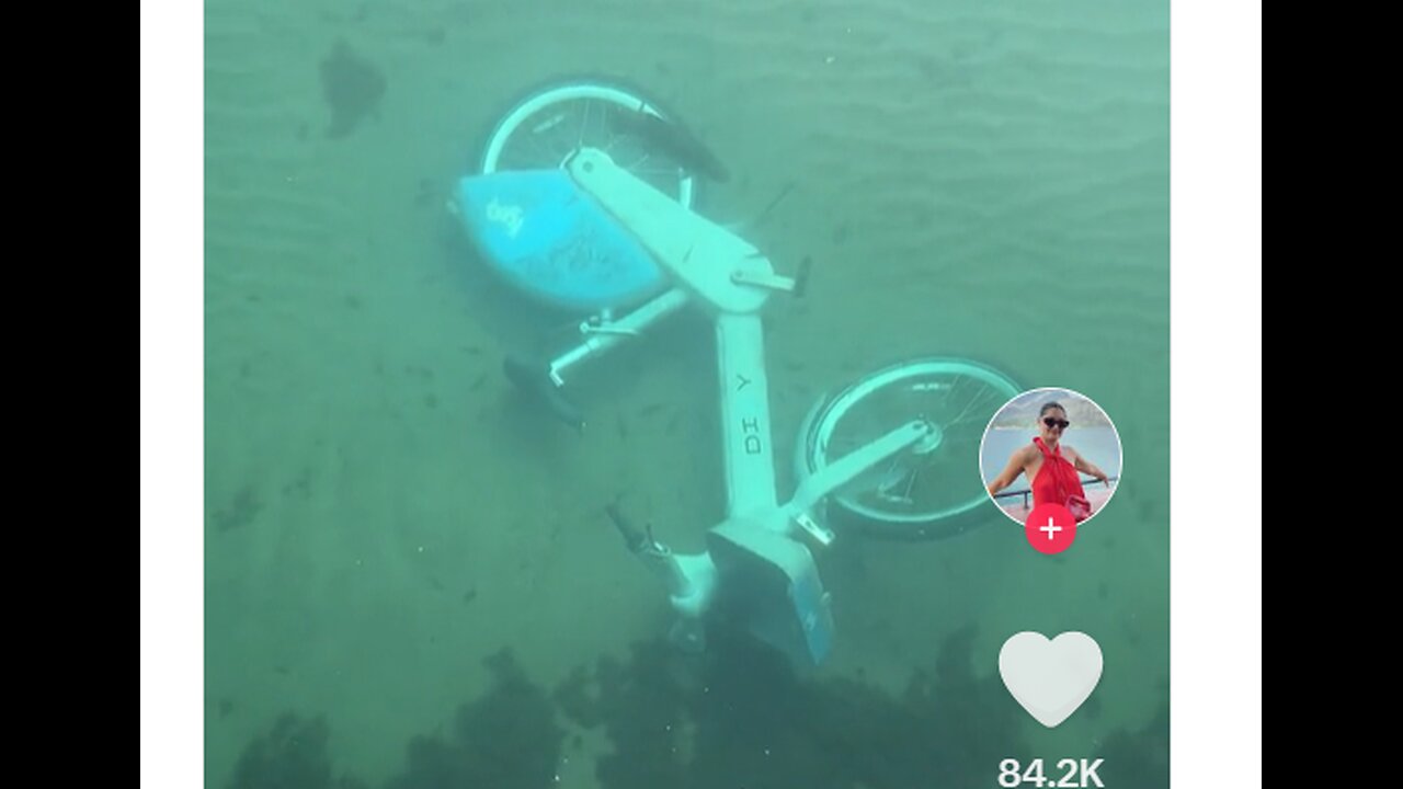 CHICAGO RESIDENTS FISH FOR EBIKES THAT OTHERS DISCARD INTO LAKE MICHIGAN