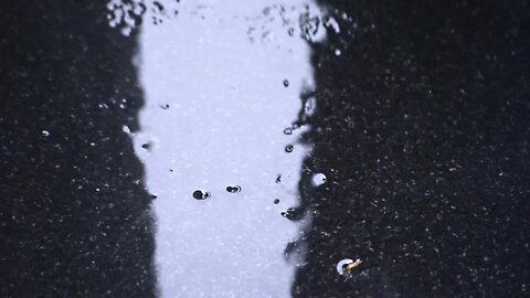 Raindrop Rain Wet Drops Waterdrop Close Up