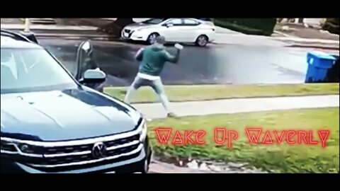 Video captures #coyote attacking toddler in #woodlandhills #California #shorts