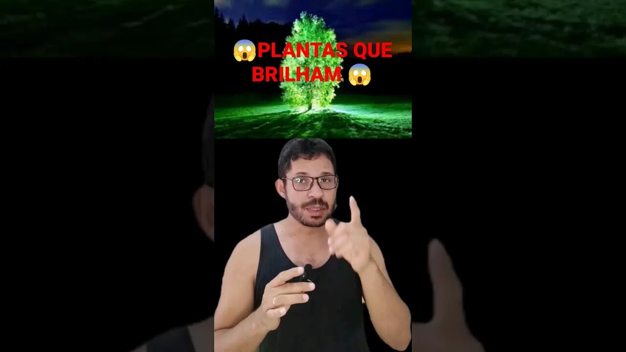 Essas plantas brilham no escuro , plantas que brilham no escuro #viral #shorts #foryou #plantas