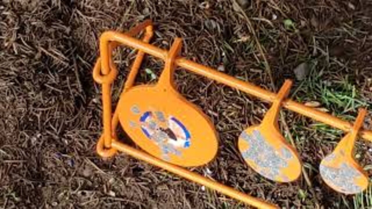 Daisy 35 smooth bore BB gun, pellet gun and shotgun, the misunderstood cousin of the Daisy 880