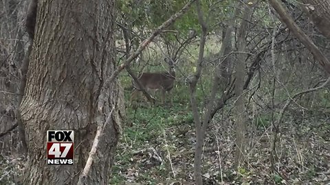 Fewer people are hunting in Michigan