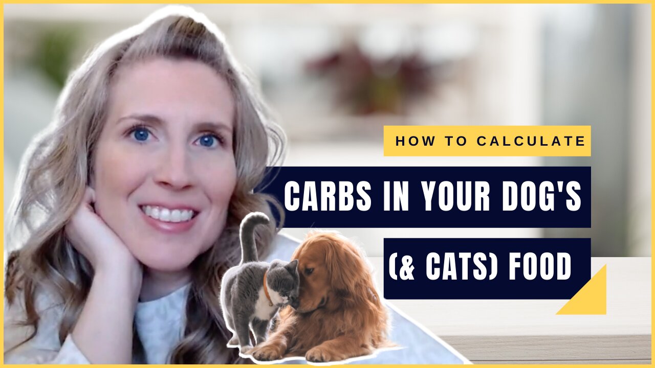 How To Calculate The Carbs In Your Dog & Cat Food (& Why It's Important!)