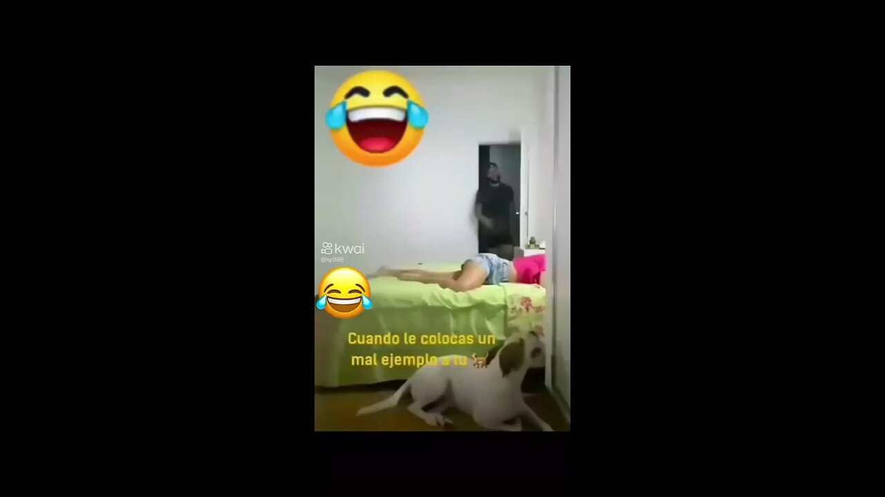 entertainment funny