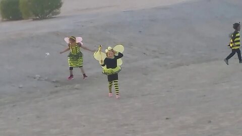 Sadie, TJ, Tasha all being Bees for Halloween