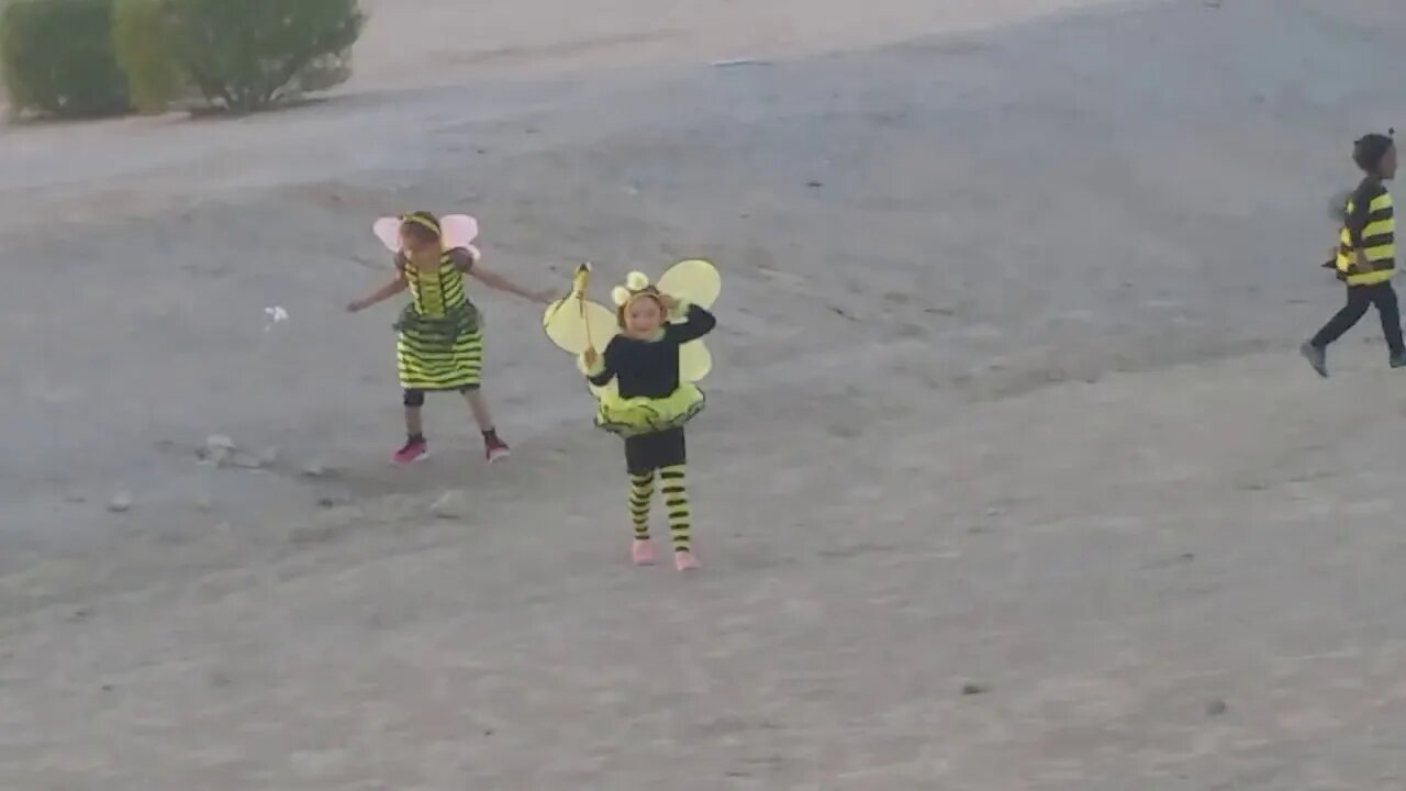 Sadie, TJ, Tasha all being Bees for Halloween
