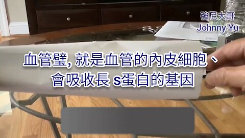 刺突蛋白。血栓。淋巴系統。自身免疫攻擊