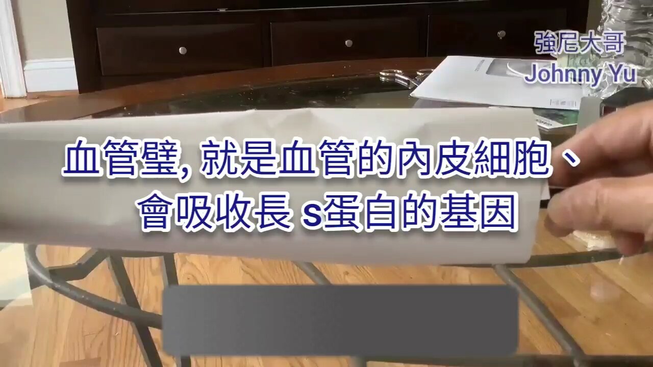 刺突蛋白。血栓。淋巴系統。自身免疫攻擊