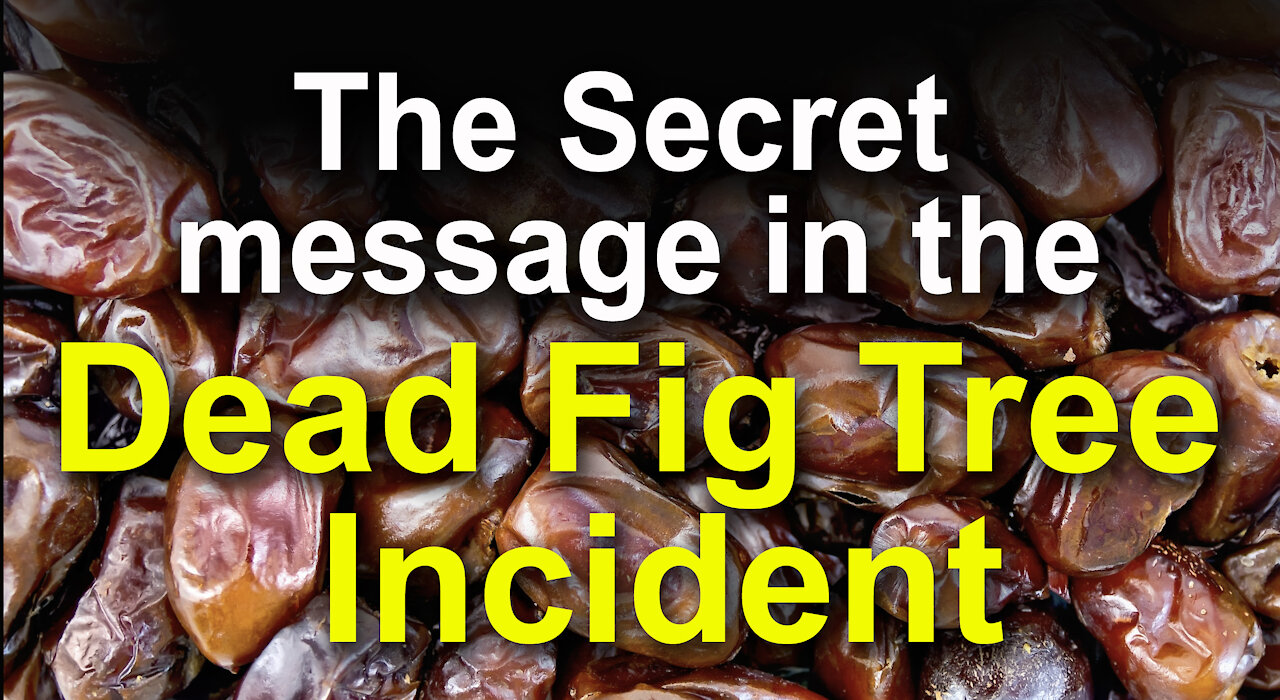The Secret Message in the Dead Fig Tree Incident