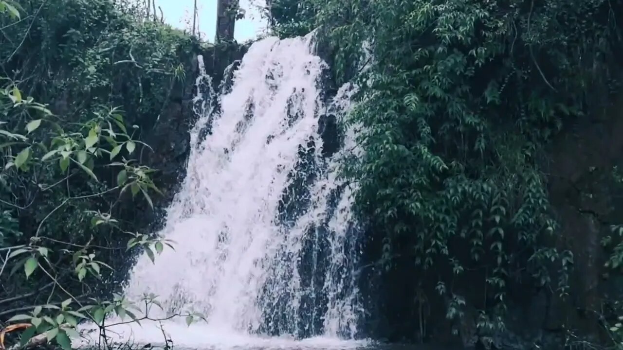 Short of some nature and waterfall vids.