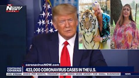 TIGER KING JOE EXOTIC getting pardon by the president?