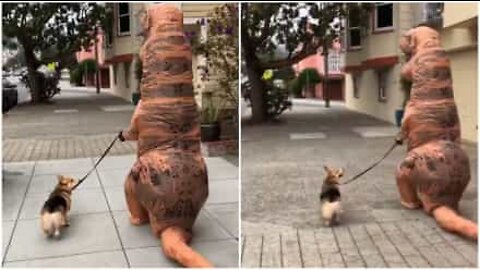 サンフランシスコの道で犬を散歩させるティラノサウルス