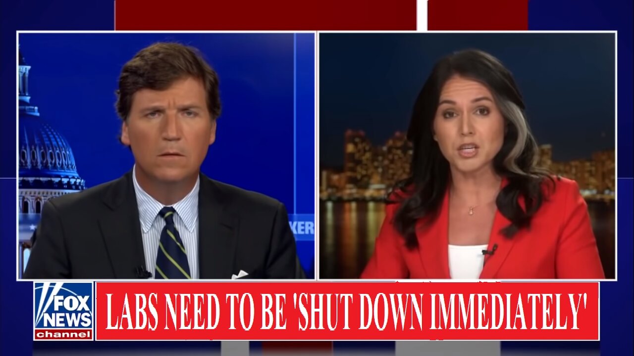 URGENT!! TRUMP BREAKING NEWS - Tulsi Gabbard: Labs need to be 'shut down immediately'