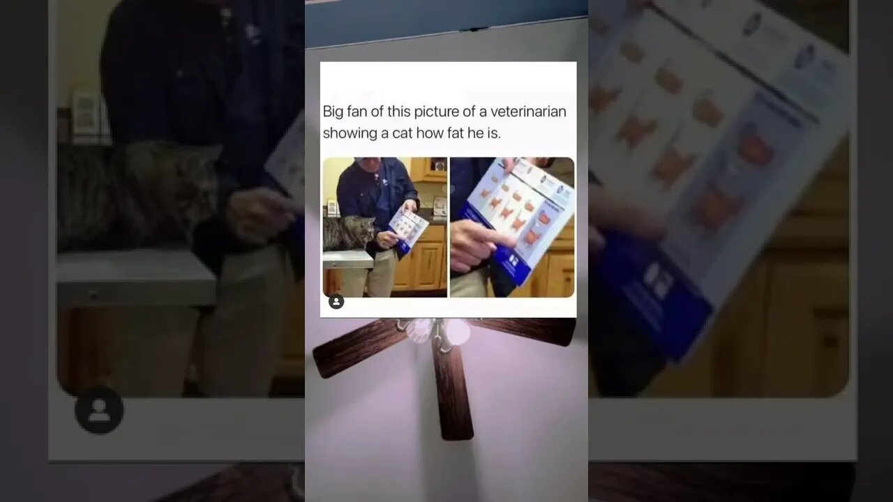 Oh lawd Video By gurwinder20282 #Shorts