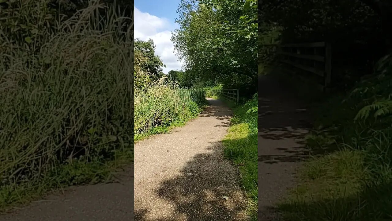 Were To #nature #yorkshire #,road #path