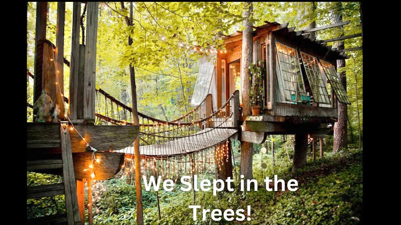 We Stayed In A Magical Treehouse! / Triplet Update they will be 2 next month!