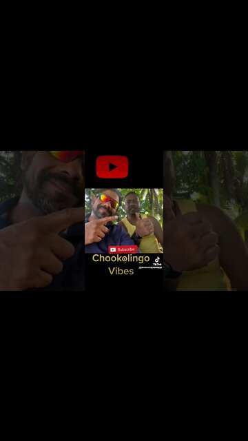 #chookolingovibes #promo