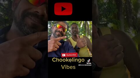 #chookolingovibes #promo