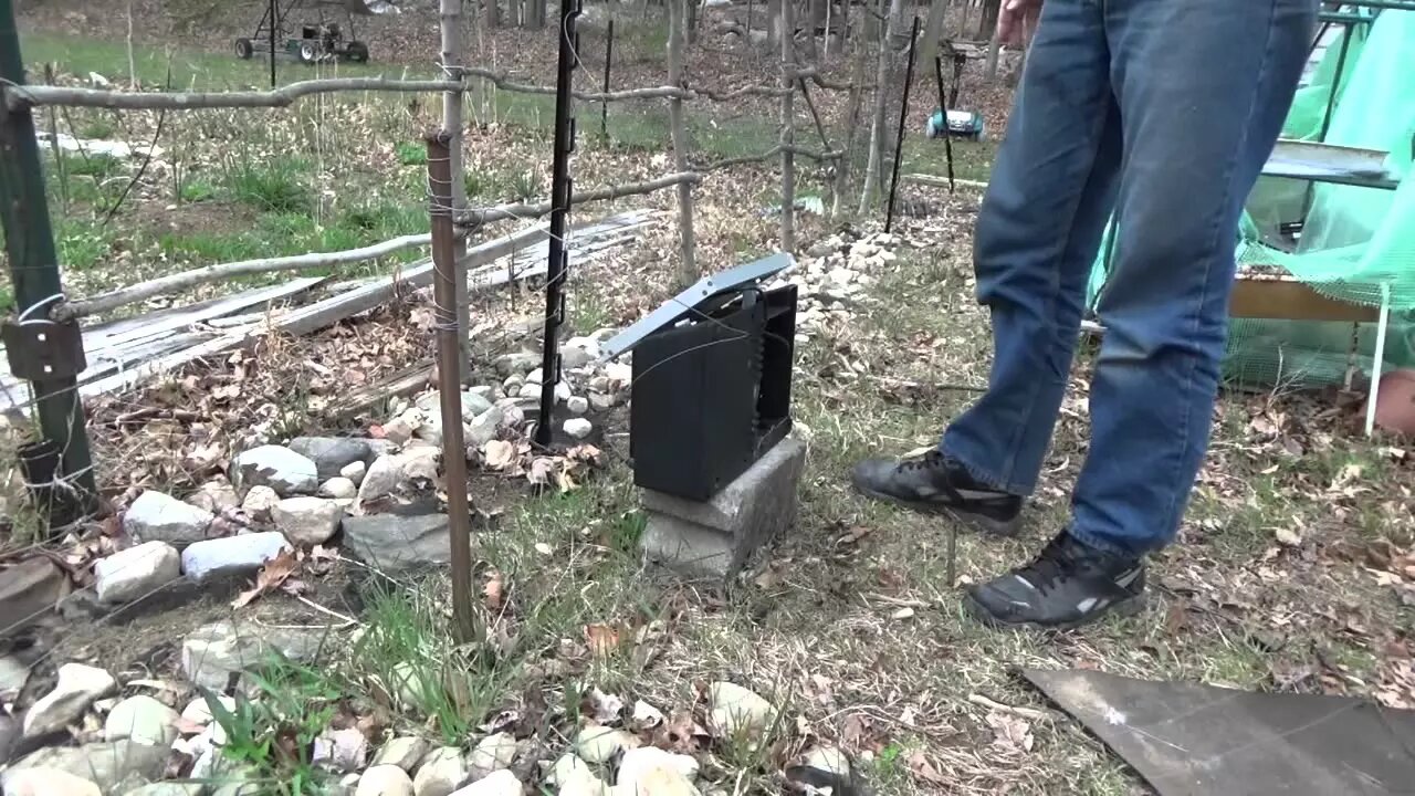 Repairing Electric Fence To Protect Chickens From Predators