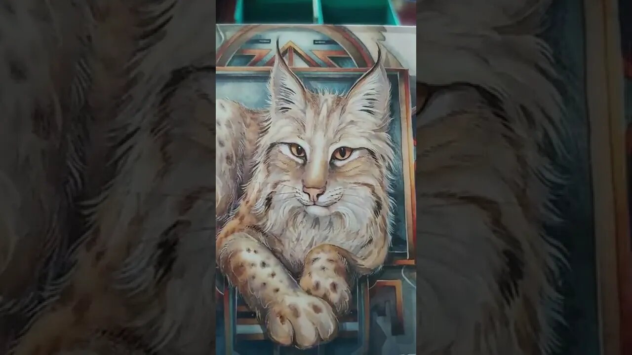 Unboxing Spirit of the Animals Oracle by Jody Bergsma