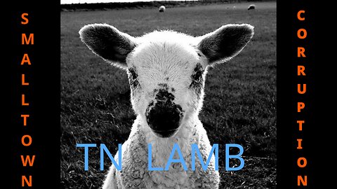 TN Lamb