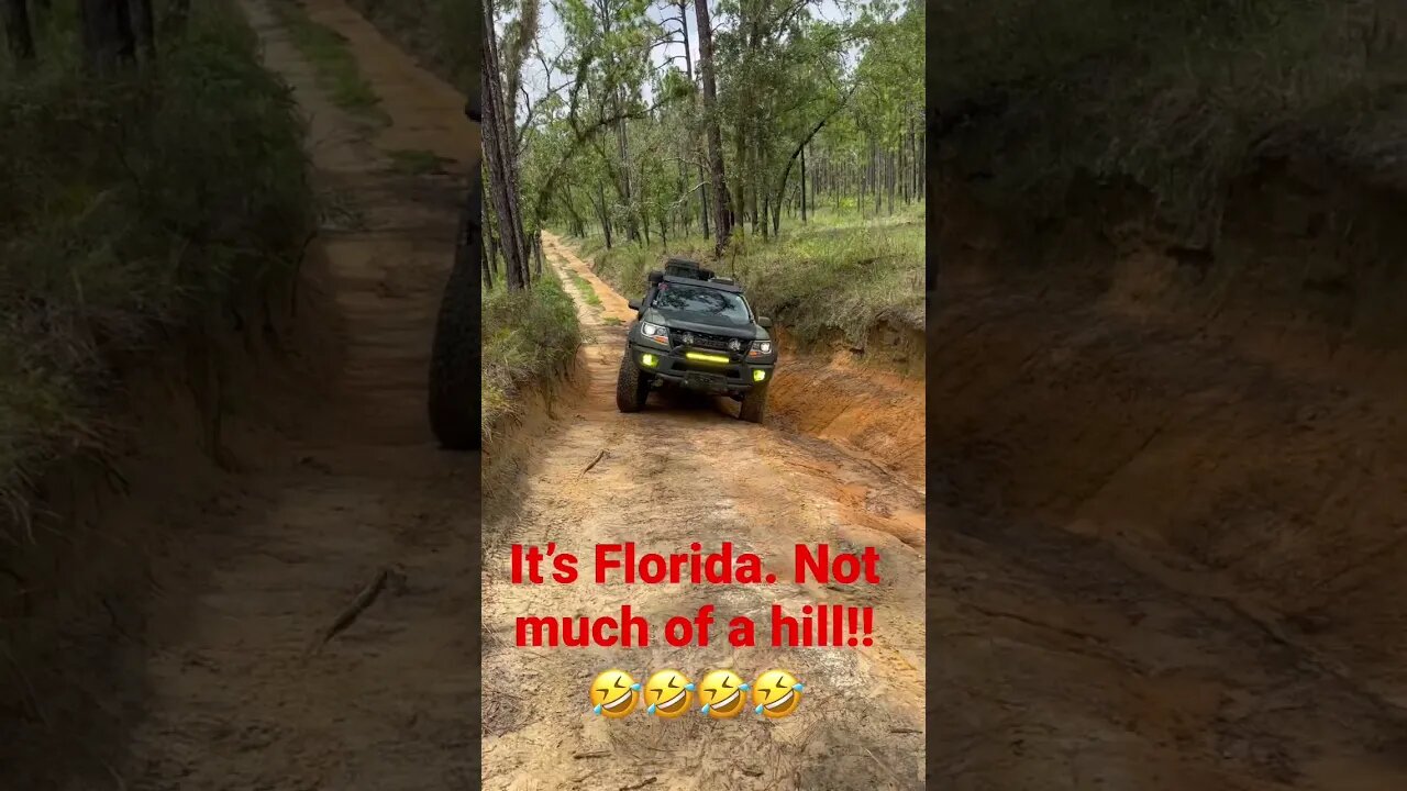 Off-Roading in Florida. You take what you get! #shorts