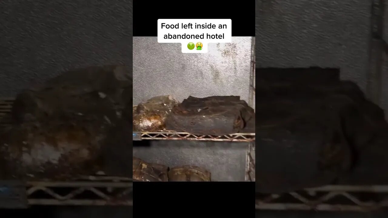 What I found inside an abandoned hotel 🤢🤮