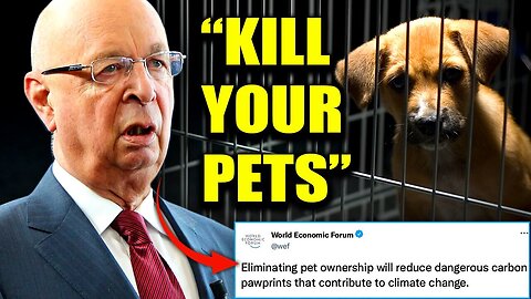 WEF Wants To Slaughter Millions of Pet Cats and Dogs To Fight Climate Change!