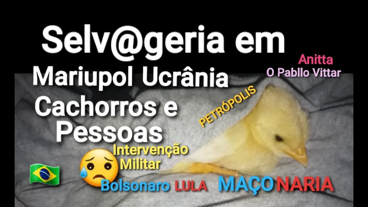 Mariupol/Cachorro come Soldado/Homem come cachorro/Intervenção Militar Lula Bolsonaro Maçonaria Nova Ordem