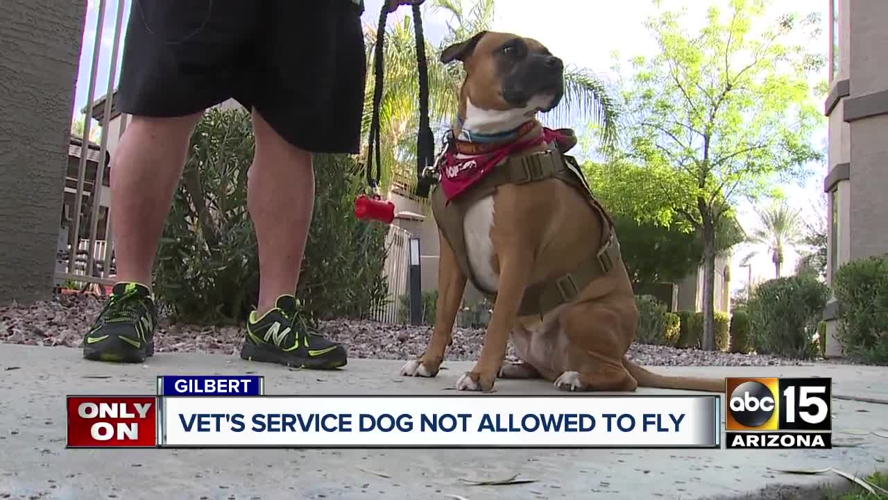 Gilbert veteran upset after service dog not allowed on flight