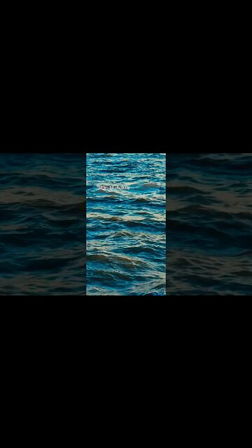 Hidup ini singkat, Quotes Islamic #quotes #alibinabithalib #islamicquotes