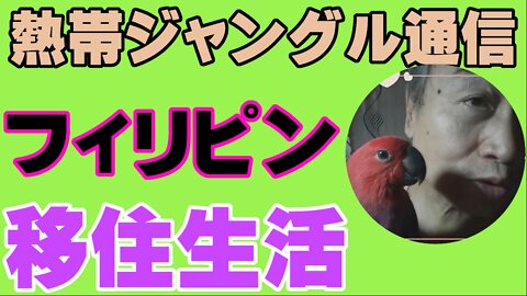 驚愕、太いマンゴー立ち木の幹を小型斧で切断した🙉フィリピンジャングル🌴ものすごいパワーだ！！