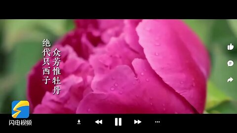 Poetry spreads! Entering "Heze Peony" from Ancient Poetry
