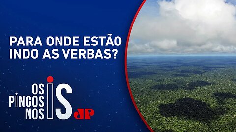 CPI que vai investigar ONGs na Amazônia avança no Senado